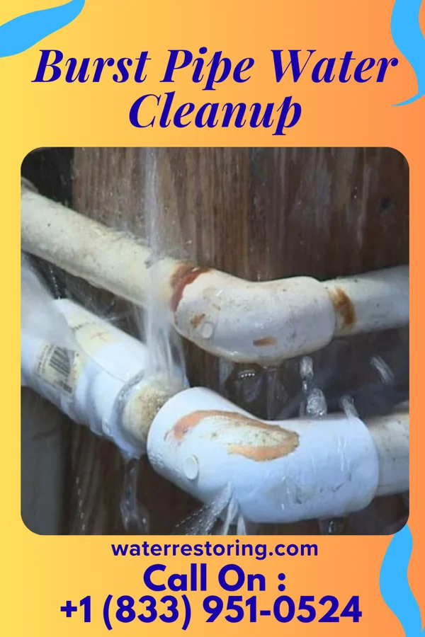 Burst Pipe Water Cleanup in McFarlan, NC