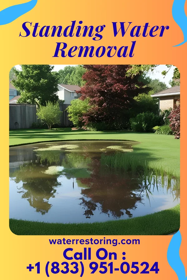 Standing Water Removal in McFarlan, NC